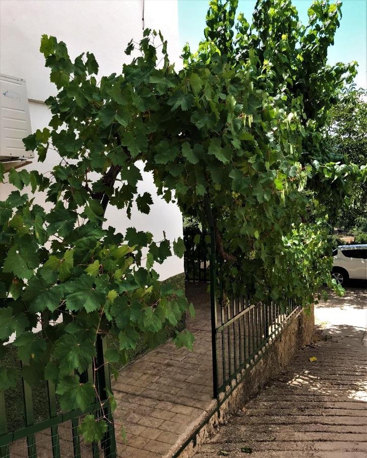 Alojamientos Loma De Mariangela Coto Rios Dış mekan fotoğraf