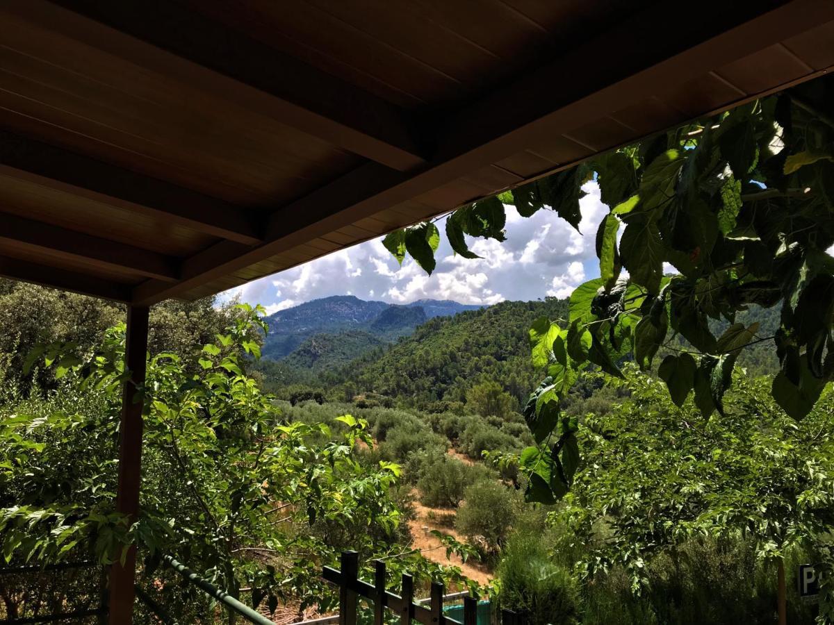 Alojamientos Loma De Mariangela Coto Rios Dış mekan fotoğraf